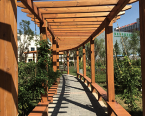 江蘇系統(tǒng)門窗加盟 鋁藝葡萄架、博古架