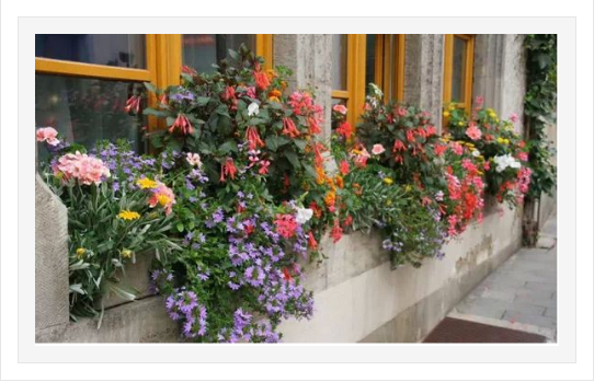 系統(tǒng)門窗,系統(tǒng)門窗加盟,系統(tǒng)門窗廠家